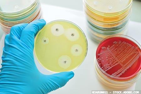 New 5-year plan to combat antimicrobial resistance