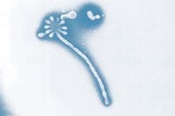 Reassurance on Ebola mutation rate 