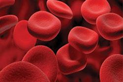 Trials of manufactured blood 