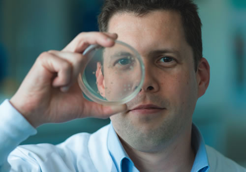 Viruses could be used to target catheter-related infections