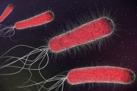 Conference aims to review Health Secretary's infection reduction plans