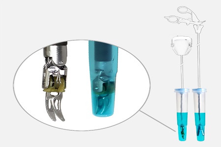 MEDISAFE WINS QUEEN’S AWARD FOR ENTERPRISE UK-based Manufacturer Recognised for Infection Prevention Product Innovation