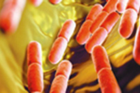 Hundreds of lives saved through new tech to spot sepsis