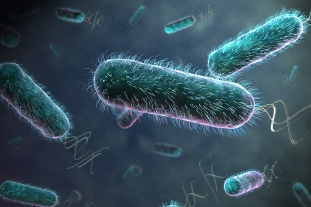 New data reveals infection rates for private hospitals 