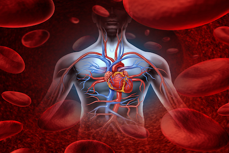 EU-funded project launched to tackle heart attacks