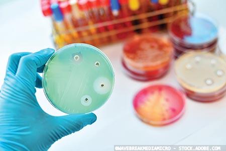 Antimicrobial resistance: calculating the cost 