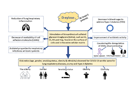 D-Xylose Can Potentiate the Antibiotic Treatment of COVID-19