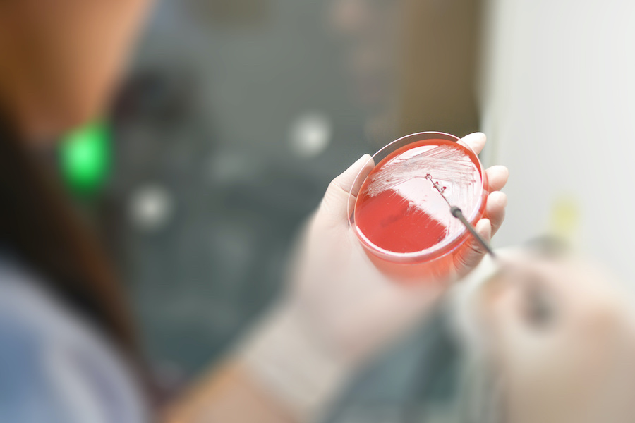 UK Health Security Agency goes live