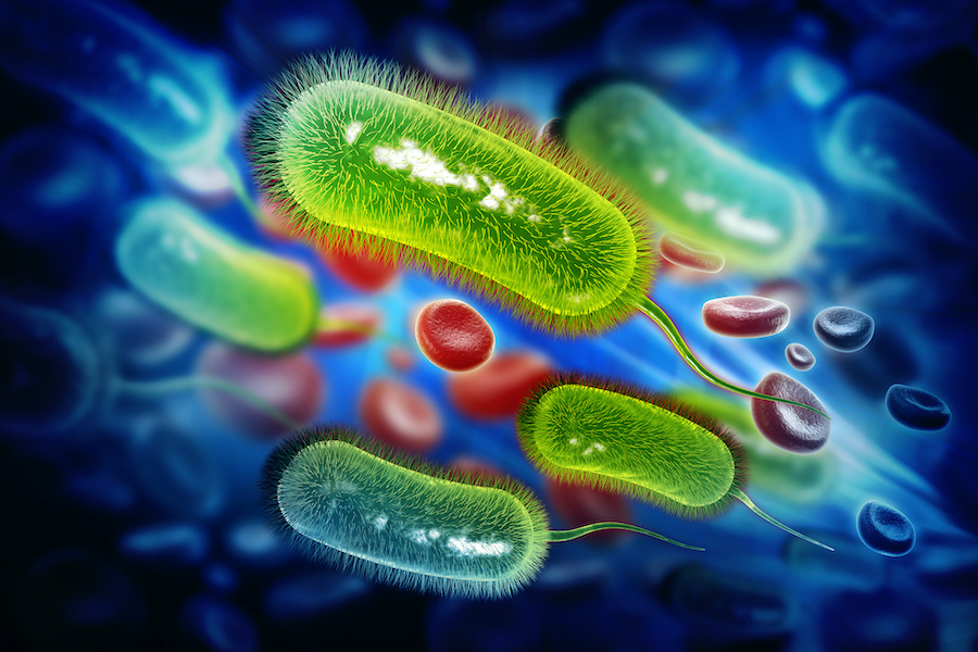 Study confirms accuracy of test for Helicobacter pylori infection