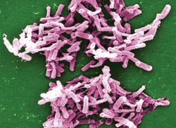 Combat waterborne pathogens