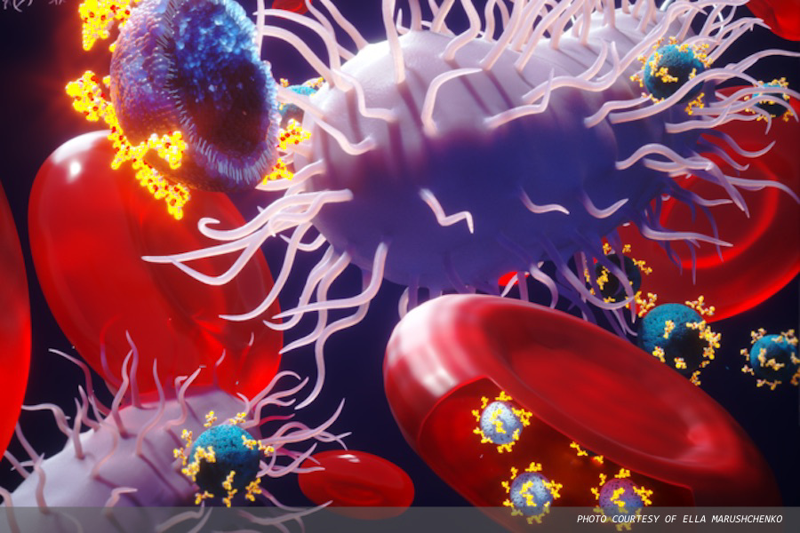 Scientists test ‘smart’ red blood cells to deliver antibiotics that target specific bacteria