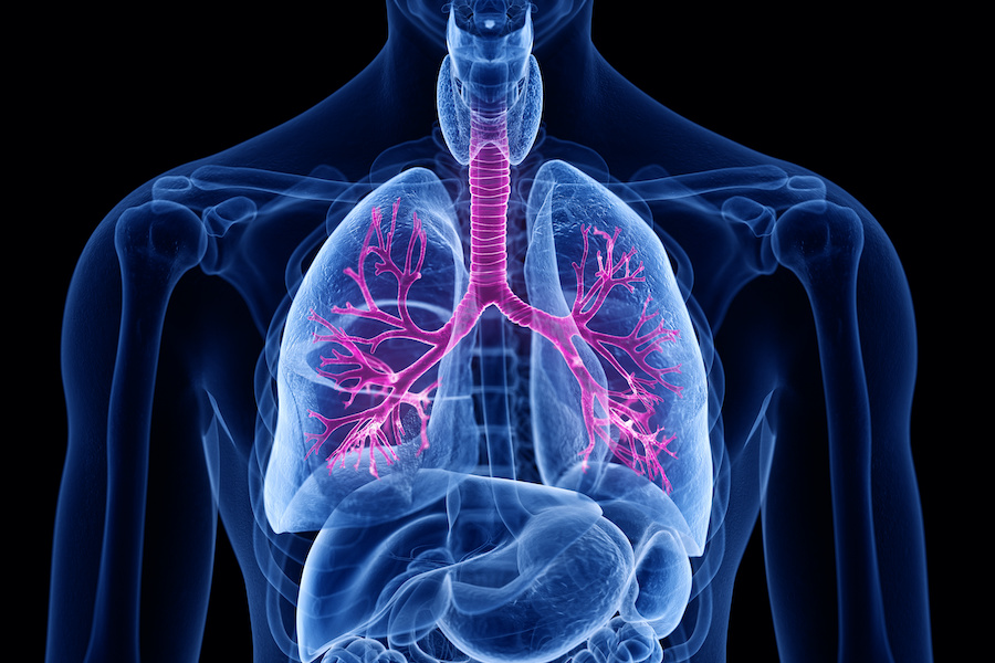 Royal Papworth Hospital awarded £3.4 million for UK-wide cystic fibrosis and bronchiectasis trials