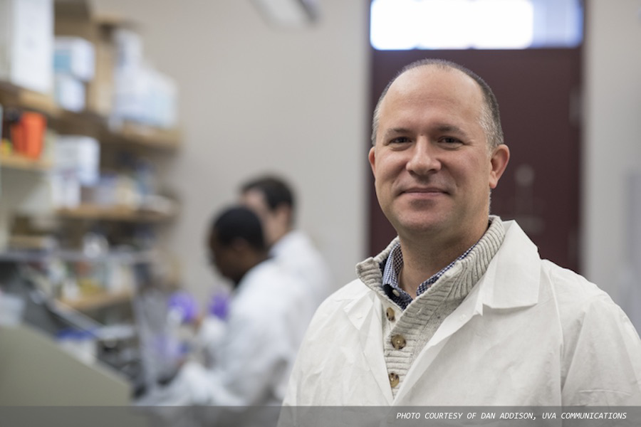 Potentially deadly infection has dangerous ally lurking in our guts