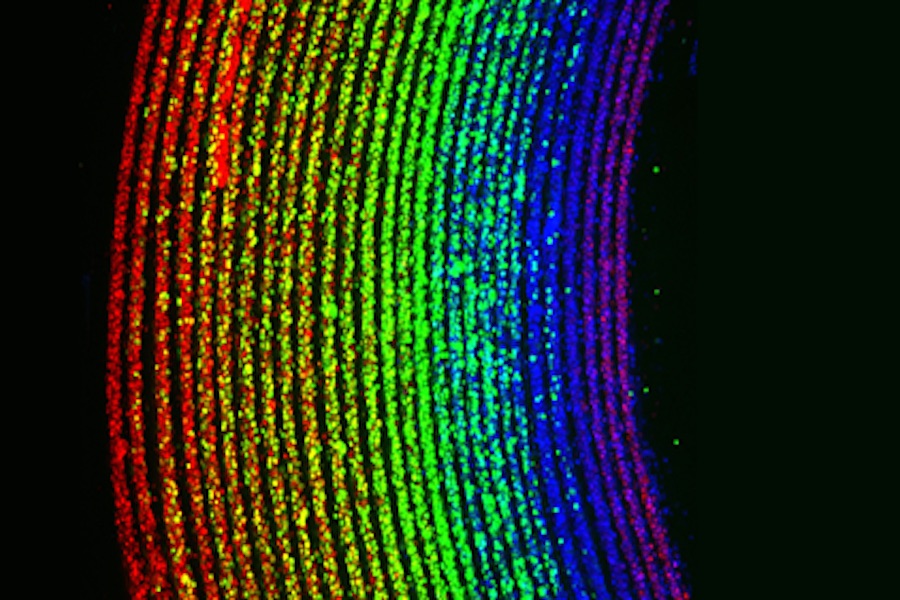 Tubular tissue advance could pave way for lab-grown blood vessels