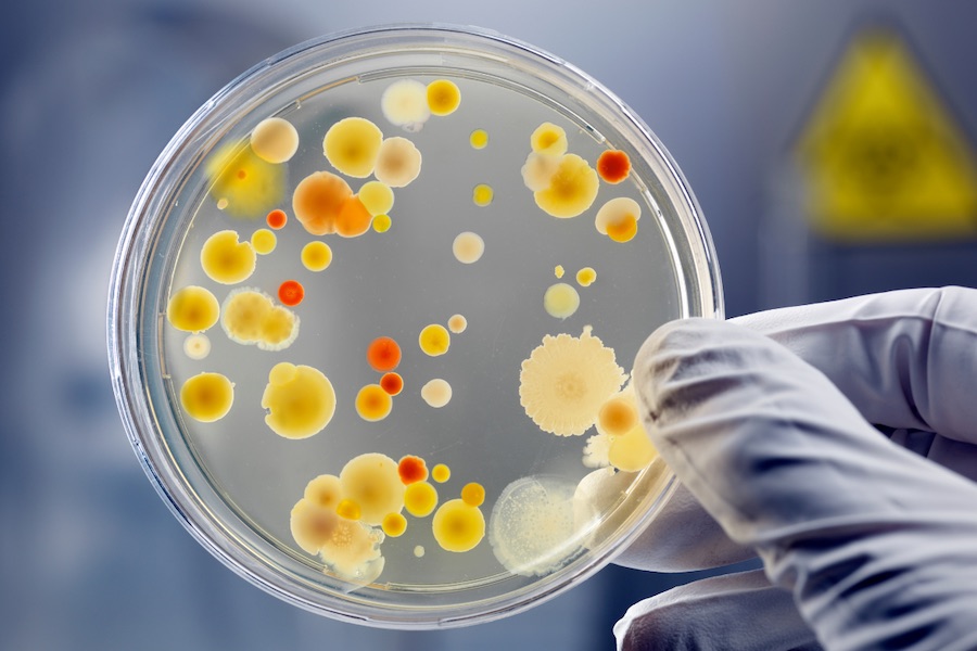 Healthcare Innovation Consortium (HIC) launches  programme targeting AMR