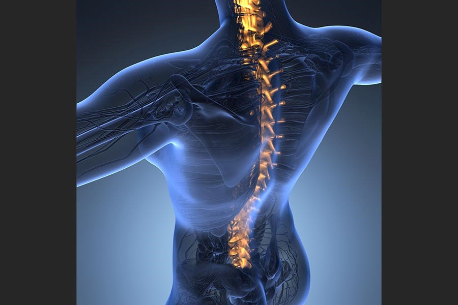 New network aims to unlock UK research potential into spinal cord injury
