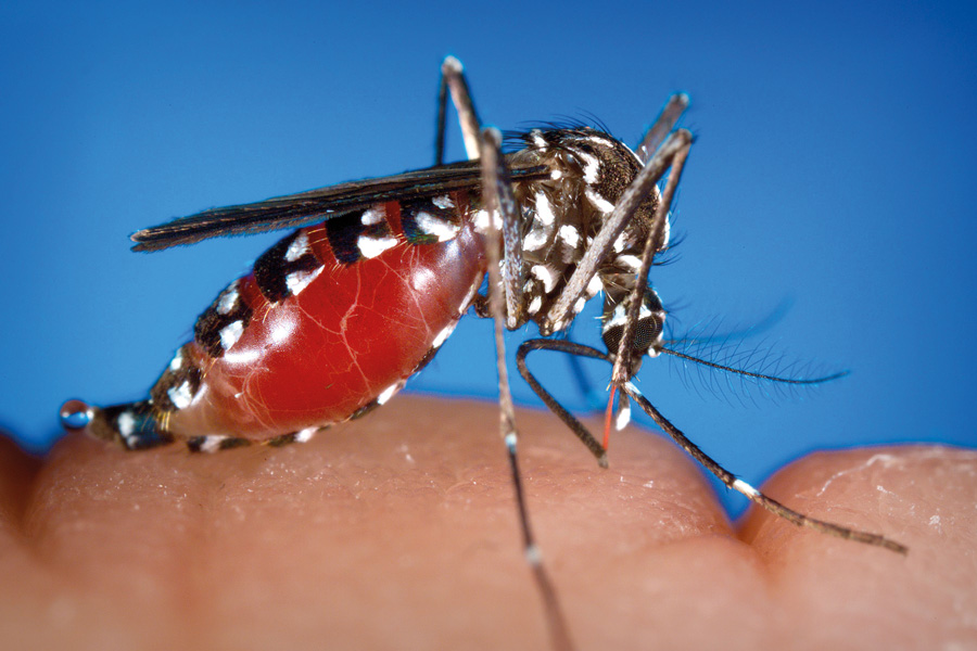 New survey highlights viral and mosquito-borne pathogens as disease outbreak concerns