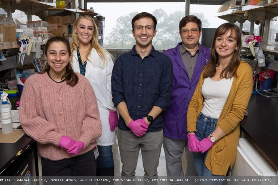New study explains how antidepressants can protect against infections and sepsis