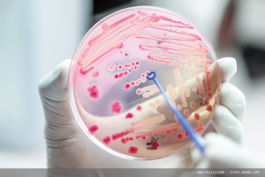 Identifying, protecting and containing infection