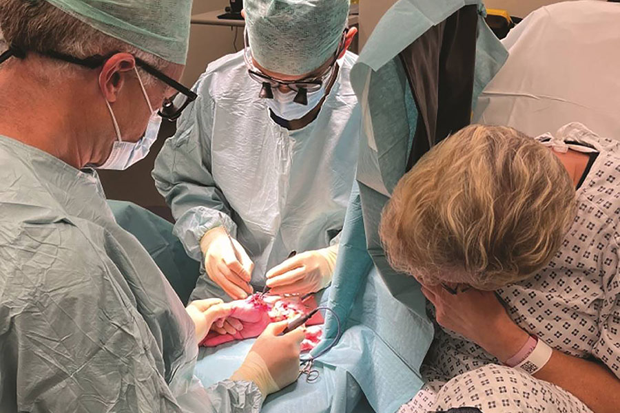  Lending a hand to elective recovery