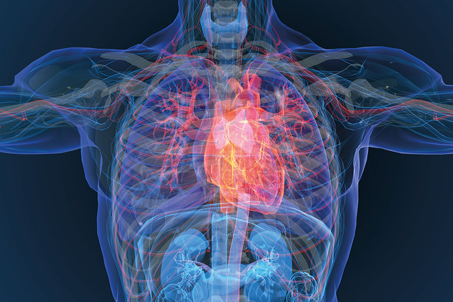 The European Society of Cardiology welcomes the Safe Hearts Plan