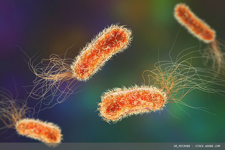 Diagnosing microbial infections in 20 minutes