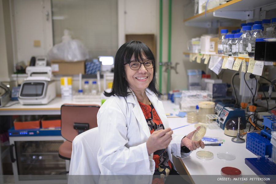 A bacterial toxin can counteract colorectal cancer growth