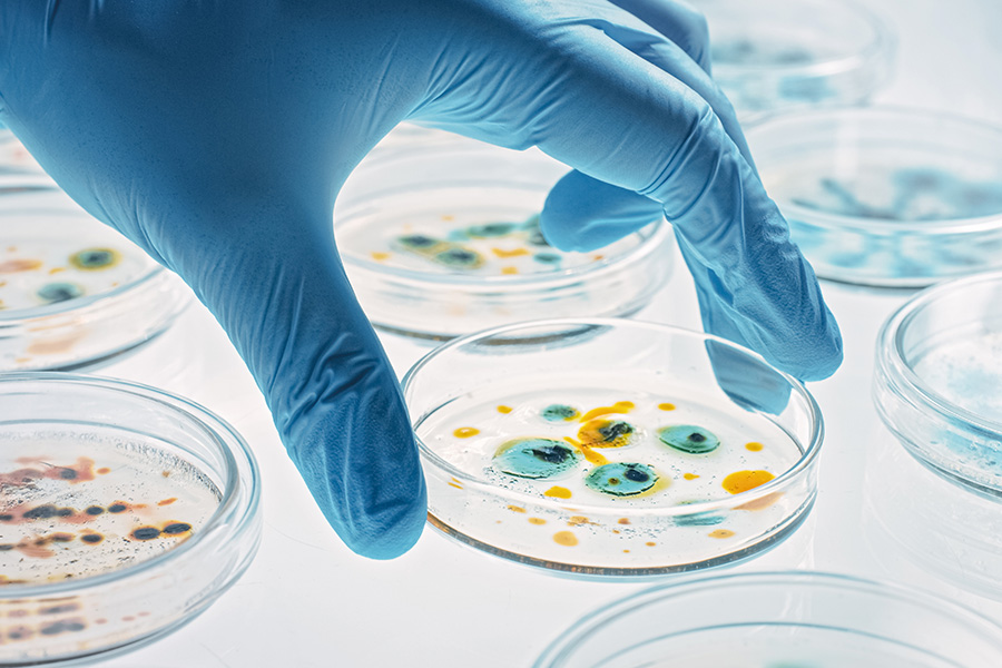 Antimicrobial resistance in foodborne bacteria remains a public health concern in Europe