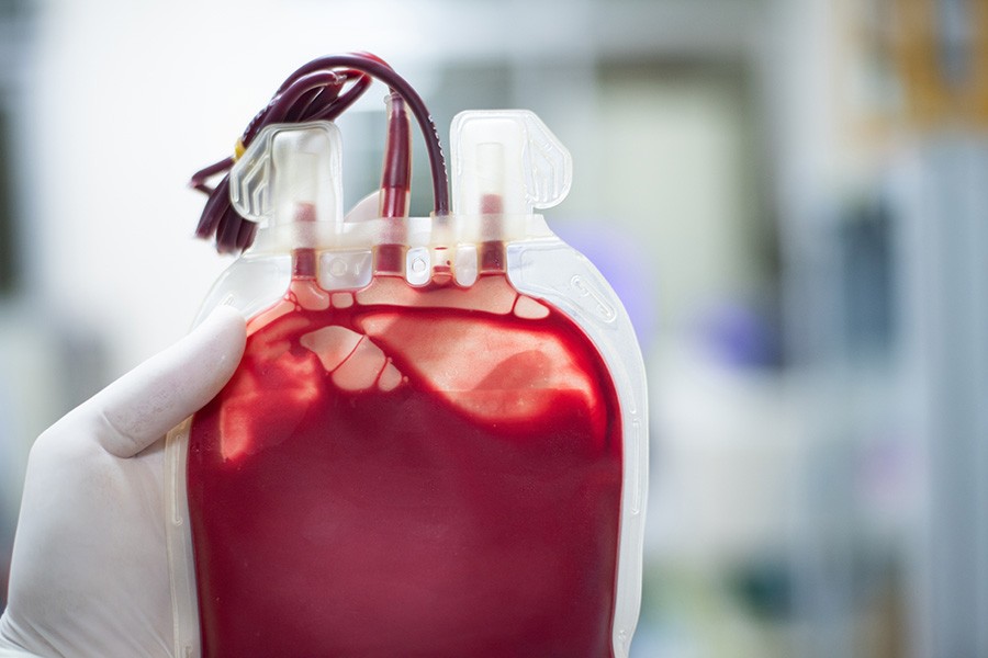 Global trauma study highlights shared learning as interest in whole blood resurges