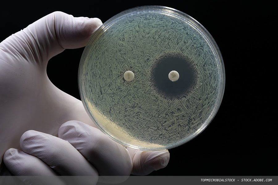 British Infection Association’s 28th Annual Scientific Meeting