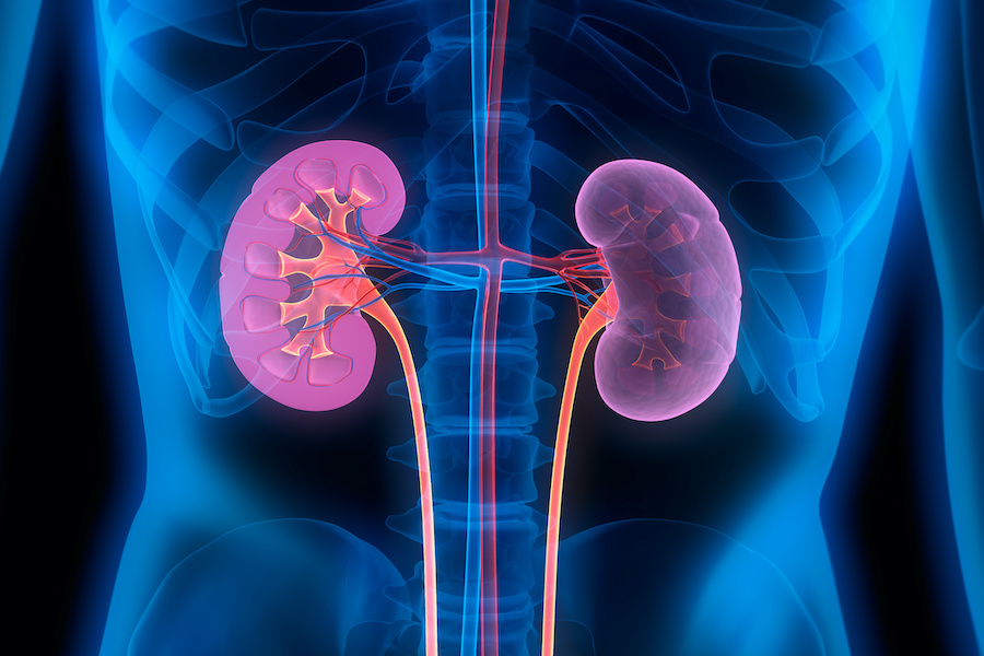 NICE publishes its first kidney cancer guideline