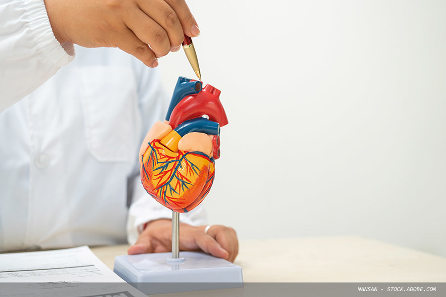 Calls to tackle delays in HVD pathway