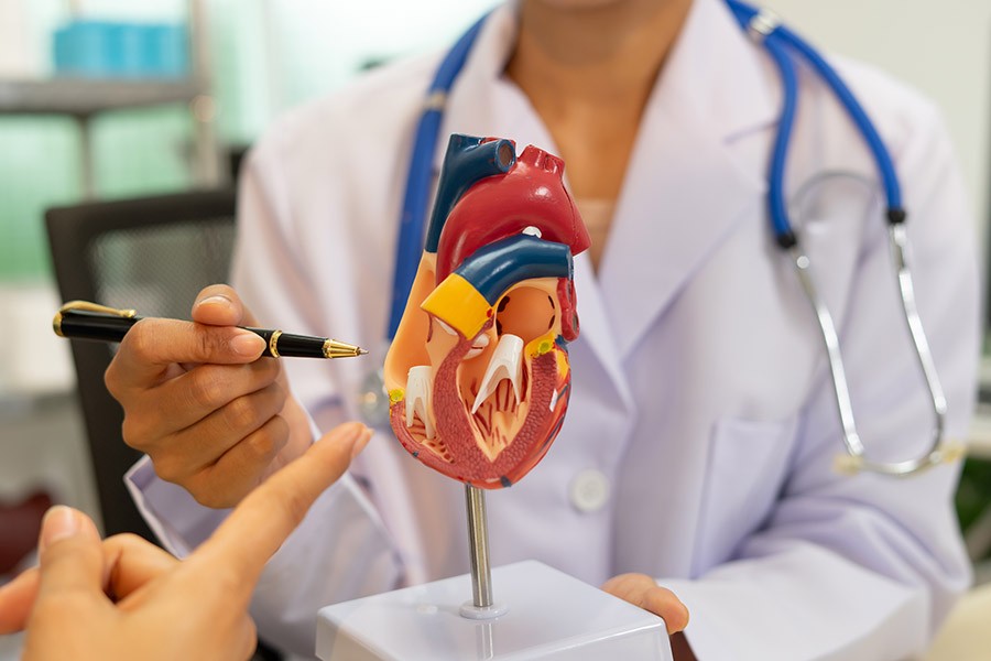 EU launches cardiovascular health initiative